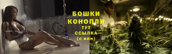 PSILOCYBIN Белокуриха