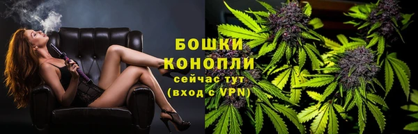 PSILOCYBIN Белокуриха