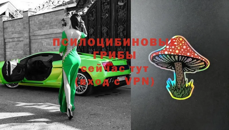 Псилоцибиновые грибы Magic Shrooms  Мурино 